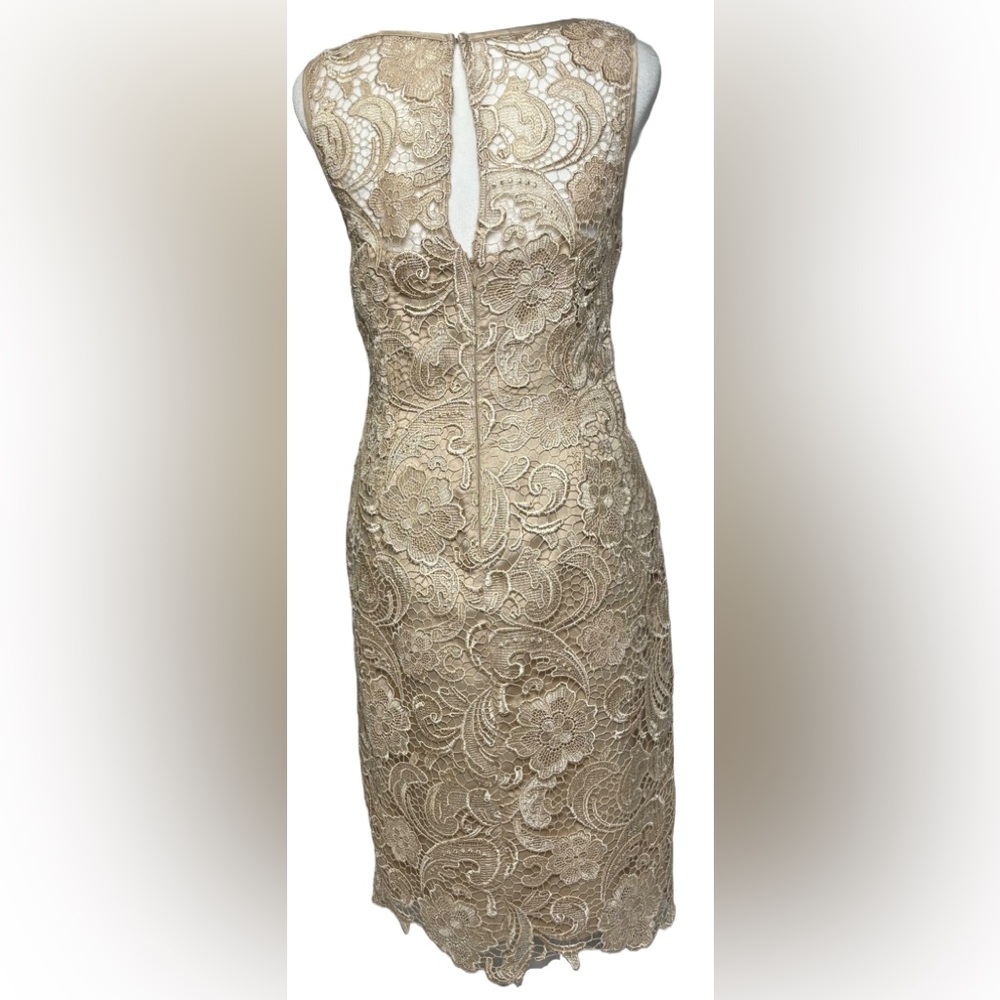 Adrianna Papell Beige Illusion Bodice Lace Sheath Dress - Picture 6 of 8